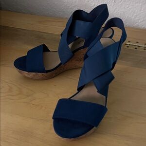 American Eagle Outfitters Blue Wedge Sandals